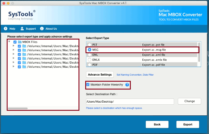 export options